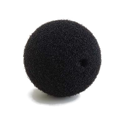 WS001